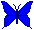 BUTTERFLY_BTN.GIF (998 bytes)