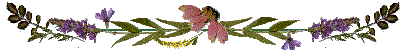 exbotbar1.gif (6446 bytes)